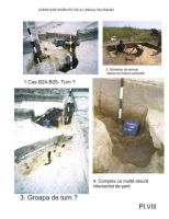 Cronica Cercetărilor Arheologice din România, Campania 2005. Raportul nr. 217
