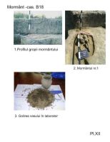 Cronica Cercetărilor Arheologice din România, Campania 2005. Raportul nr. 217