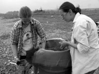 Cronica Cercetărilor Arheologice din România, Campania 2005. Raportul nr. 219