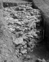 Cronica Cercetărilor Arheologice din România, Campania 2005. Raportul nr. 219