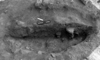 Cronica Cercetărilor Arheologice din România, Campania 2005. Raportul nr. 219