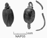 Cronica Cercetărilor Arheologice din România, Campania 2005. Raportul nr. 219