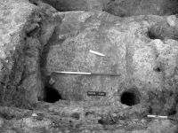 Cronica Cercetărilor Arheologice din România, Campania 2005. Raportul nr. 219