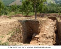 Cronica Cercetărilor Arheologice din România, Campania 2006. Raportul nr. 1