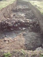 Cronica Cercetărilor Arheologice din România, Campania 2006. Raportul nr. 2