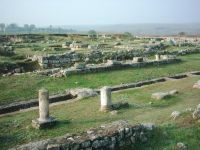Cronica Cercetărilor Arheologice din România, Campania 2006. Raportul nr. 2