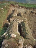 Cronica Cercetărilor Arheologice din România, Campania 2006. Raportul nr. 2