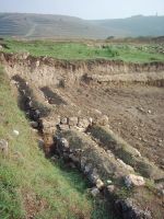 Cronica Cercetărilor Arheologice din România, Campania 2006. Raportul nr. 2