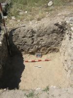 Cronica Cercetărilor Arheologice din România, Campania 2006. Raportul nr. 2