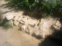 Cronica Cercetărilor Arheologice din România, Campania 2006. Raportul nr. 3