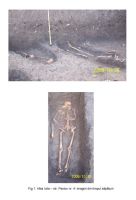 Cronica Cercetărilor Arheologice din România, Campania 2006. Raportul nr. 5