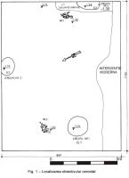 Cronica Cercetărilor Arheologice din România, Campania 2006. Raportul nr. 6