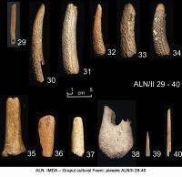 Cronica Cercetărilor Arheologice din România, Campania 2006. Raportul nr. 19