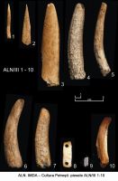 Cronica Cercetărilor Arheologice din România, Campania 2006. Raportul nr. 19