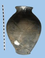 Cronica Cercetărilor Arheologice din România, Campania 2006. Raportul nr. 27