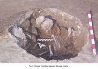 Cronica Cercetărilor Arheologice din România, Campania 2006. Raportul nr. 29