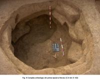 Cronica Cercetărilor Arheologice din România, Campania 2006. Raportul nr. 29