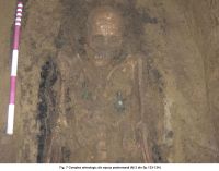 Cronica Cercetărilor Arheologice din România, Campania 2006. Raportul nr. 29