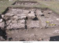 Cronica Cercetărilor Arheologice din România, Campania 2006. Raportul nr. 30