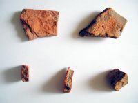 Cronica Cercetărilor Arheologice din România, Campania 2006. Raportul nr. 30