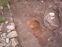 Cronica Cercetărilor Arheologice din România, Campania 2006. Raportul nr. 30