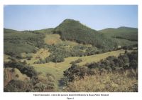 Cronica Cercetărilor Arheologice din România, Campania 2006. Raportul nr. 31
