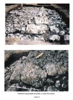 Cronica Cercetărilor Arheologice din România, Campania 2006. Raportul nr. 31