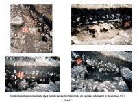 Cronica Cercetărilor Arheologice din România, Campania 2006. Raportul nr. 31