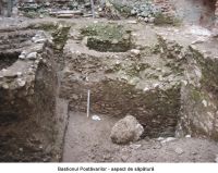 Cronica Cercetărilor Arheologice din România, Campania 2006. Raportul nr. 37