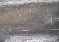 Cronica Cercetărilor Arheologice din România, Campania 2006. Raportul nr. 039