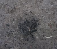 Cronica Cercetărilor Arheologice din România, Campania 2006. Raportul nr. 039