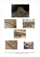 Cronica Cercetărilor Arheologice din România, Campania 2006. Raportul nr. 41