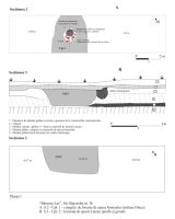Cronica Cercetărilor Arheologice din România, Campania 2006. Raportul nr. 45