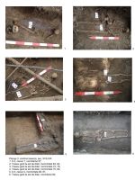 Cronica Cercetărilor Arheologice din România, Campania 2006. Raportul nr. 46