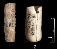 Cronica Cercetărilor Arheologice din România, Campania 2006. Raportul nr. 49