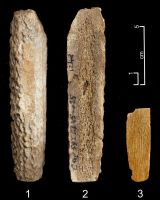 Cronica Cercetărilor Arheologice din România, Campania 2006. Raportul nr. 49