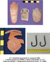 Cronica Cercetărilor Arheologice din România, Campania 2006. Raportul nr. 49