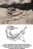 Cronica Cercetărilor Arheologice din România, Campania 2006. Raportul nr. 49