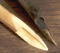 Cronica Cercetărilor Arheologice din România, Campania 2006. Raportul nr. 49