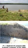 Cronica Cercetărilor Arheologice din România, Campania 2006. Raportul nr. 50