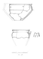 Cronica Cercetărilor Arheologice din România, Campania 2006. Raportul nr. 55