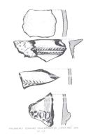 Cronica Cercetărilor Arheologice din România, Campania 2006. Raportul nr. 55