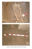 Cronica Cercetărilor Arheologice din România, Campania 2006. Raportul nr. 55