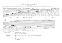 Cronica Cercetărilor Arheologice din România, Campania 2006. Raportul nr. 55