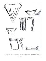 Cronica Cercetărilor Arheologice din România, Campania 2006. Raportul nr. 55