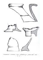 Cronica Cercetărilor Arheologice din România, Campania 2006. Raportul nr. 55