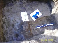 Cronica Cercetărilor Arheologice din România, Campania 2006. Raportul nr. 64