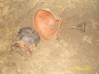 Cronica Cercetărilor Arheologice din România, Campania 2006. Raportul nr. 64