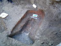 Cronica Cercetărilor Arheologice din România, Campania 2006. Raportul nr. 64