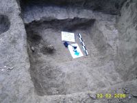 Cronica Cercetărilor Arheologice din România, Campania 2006. Raportul nr. 64